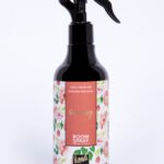 Room Spray Spring